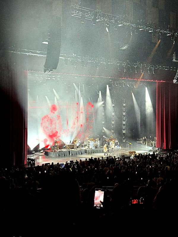 camilla_classy image ~ Altpins