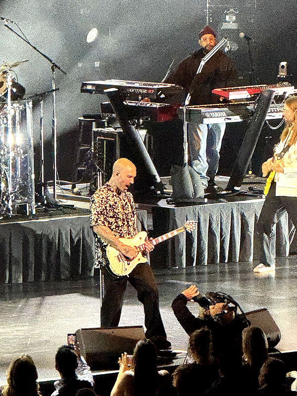 camilla_classy image ~ Altpins