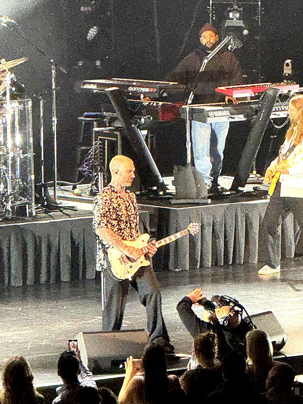 camilla_classy image ~ Altpins