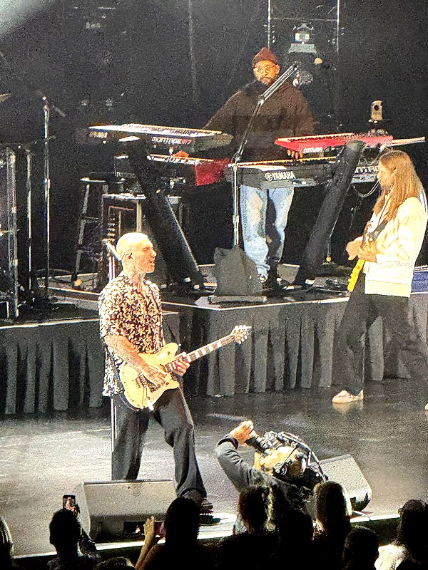 camilla_classy image ~ Altpins