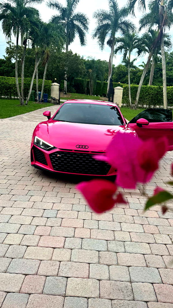 camilla_classy image ~ Altpins