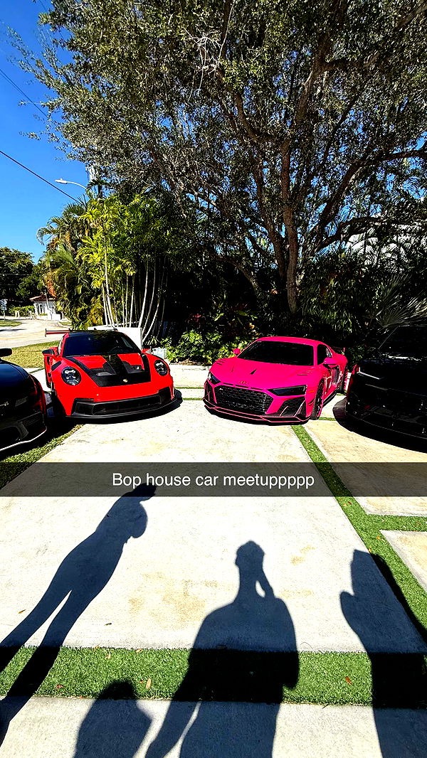 camilla_classy image ~ Altpins