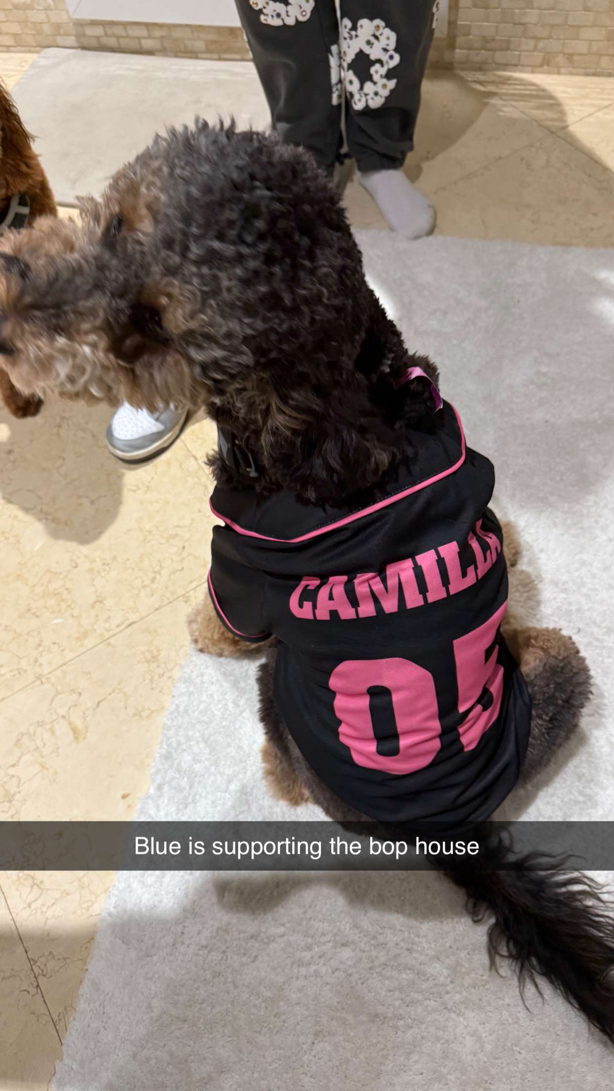 camilla_classy snapchat image archive image