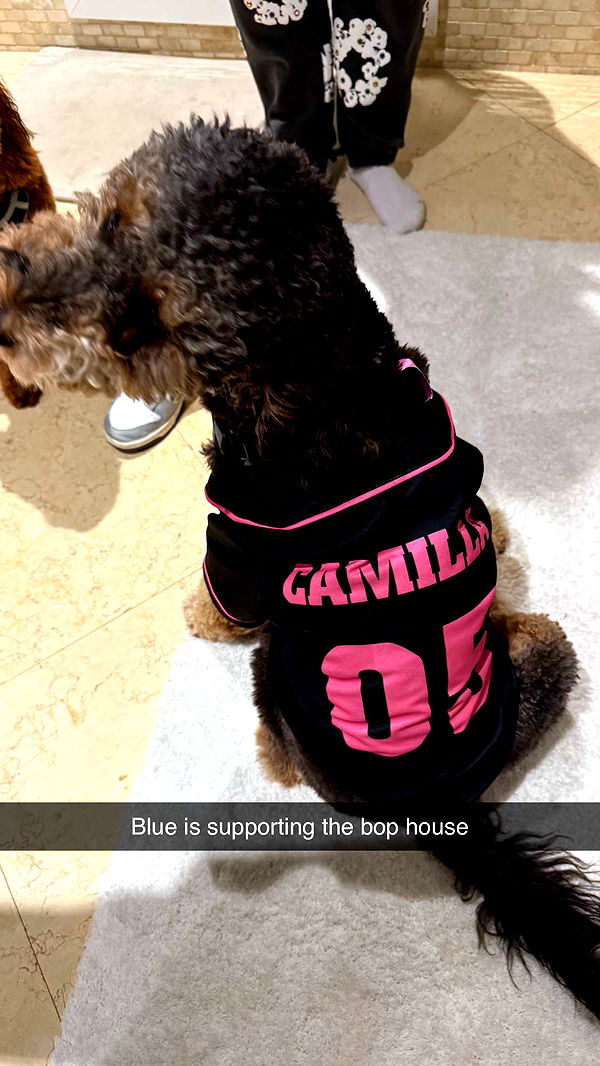 camilla_classy image ~ Altpins