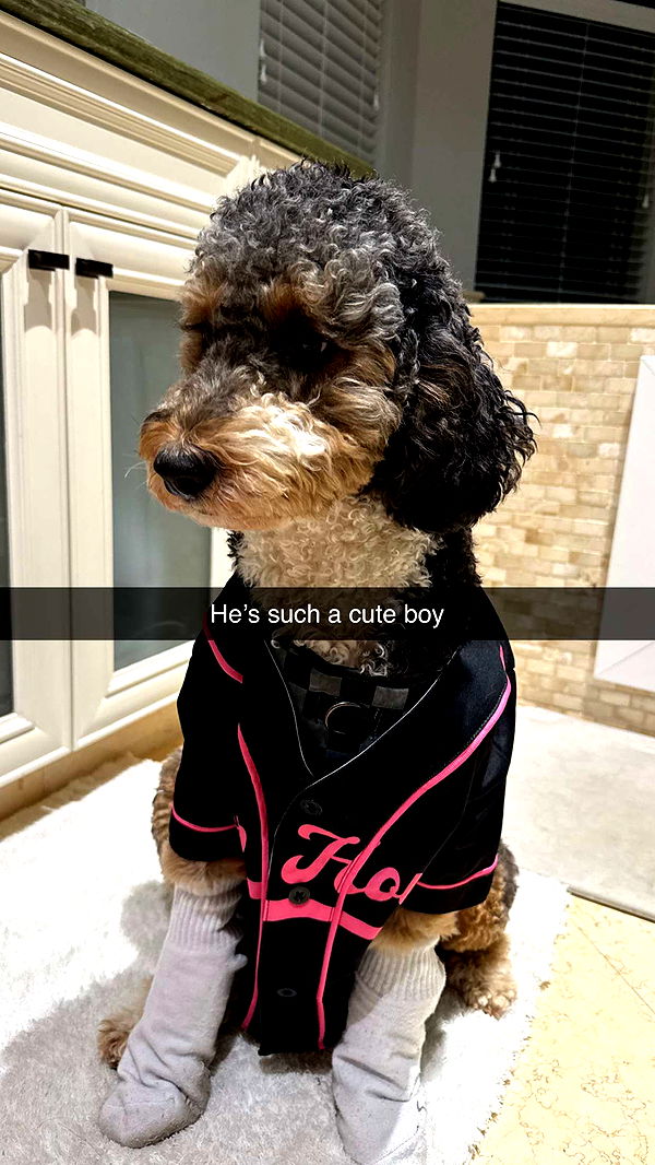 camilla_classy image ~ Altpins