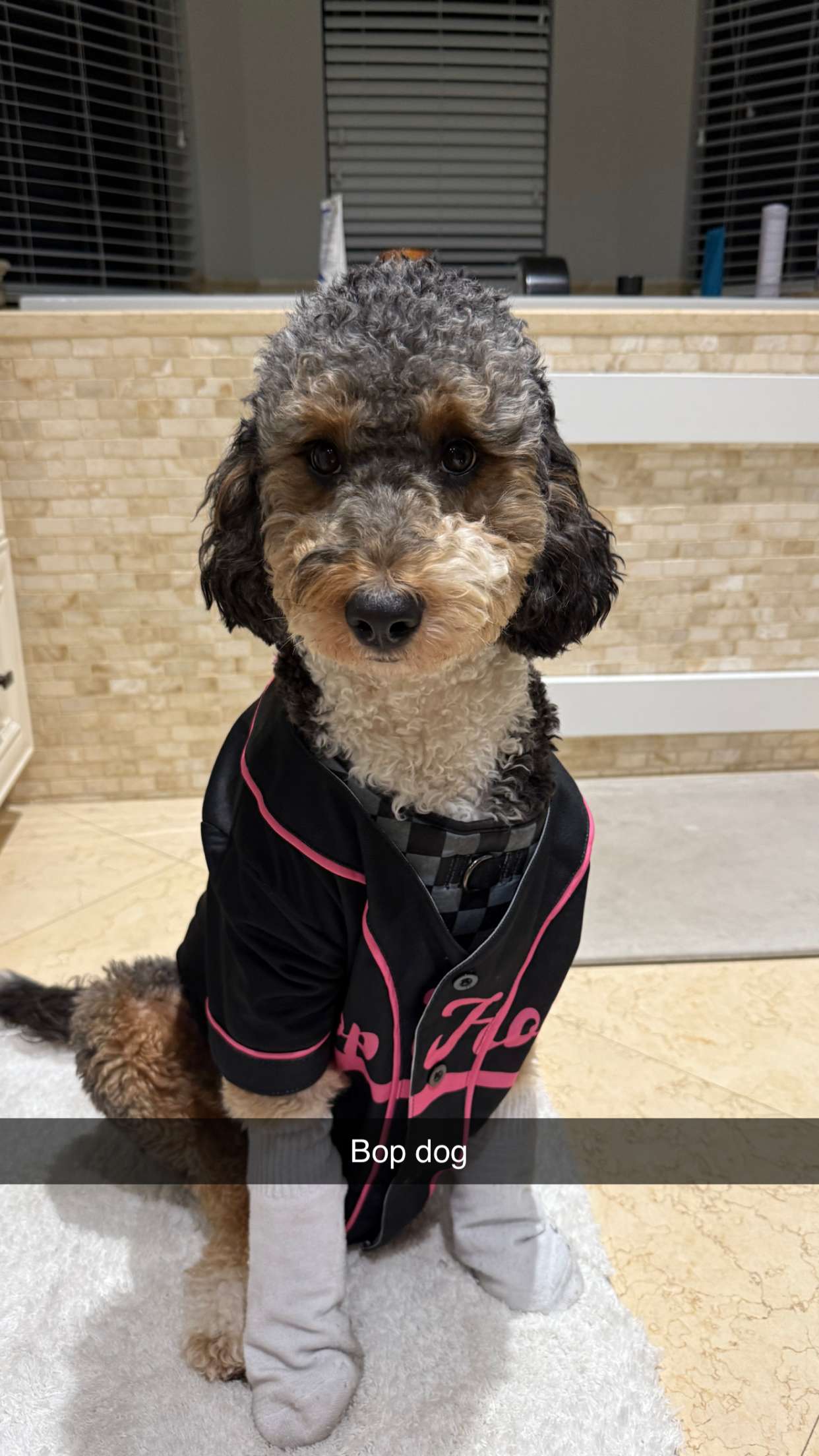 camilla_classy snapchat image archive image