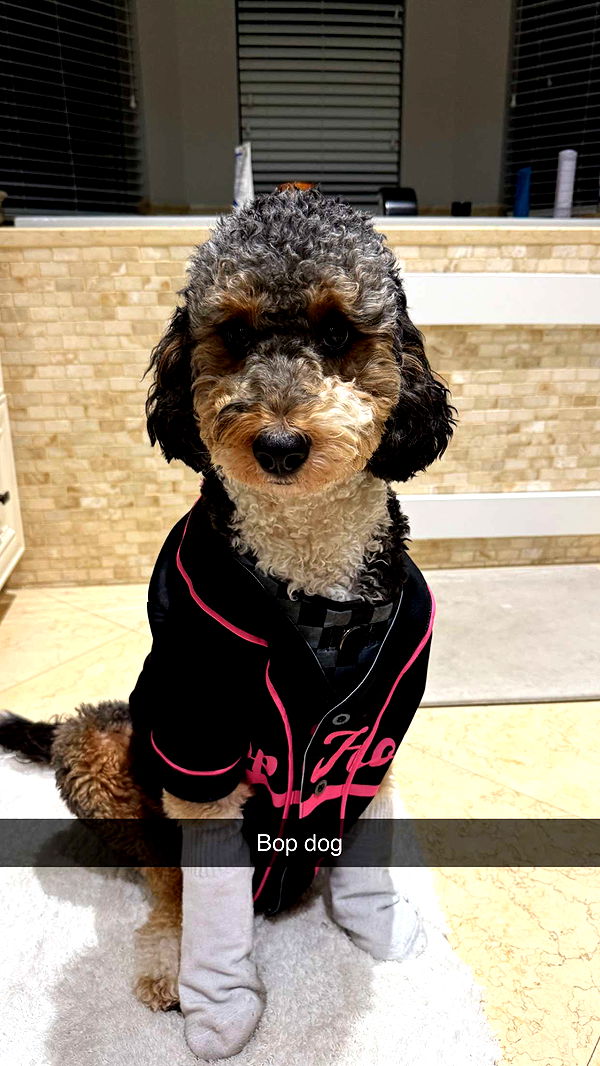 camilla_classy image ~ Altpins