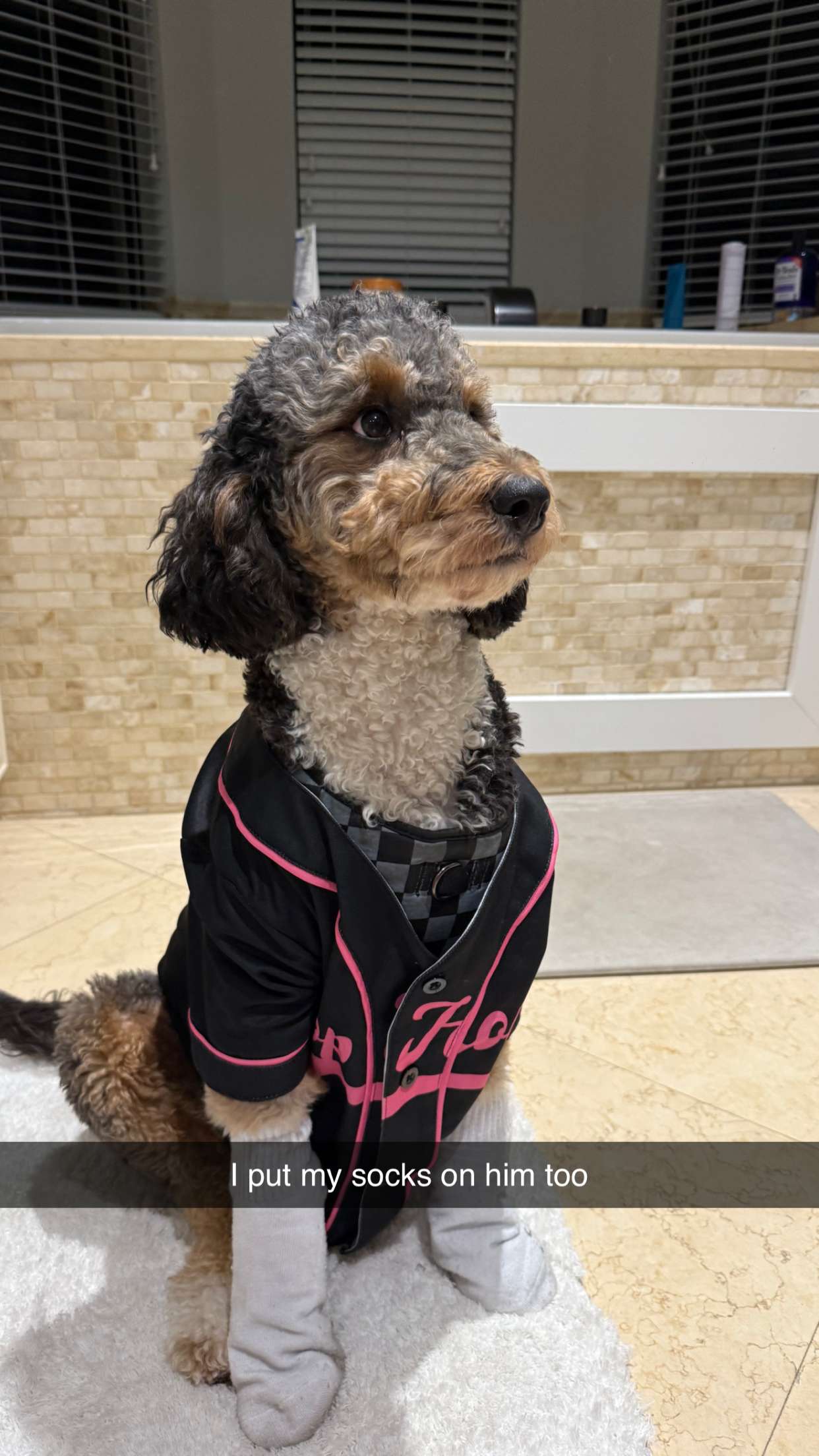 camilla_classy snapchat image archive image