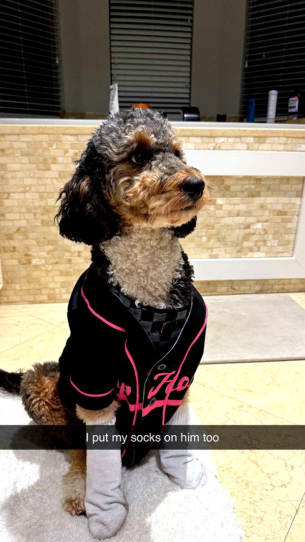 camilla_classy image ~ Altpins