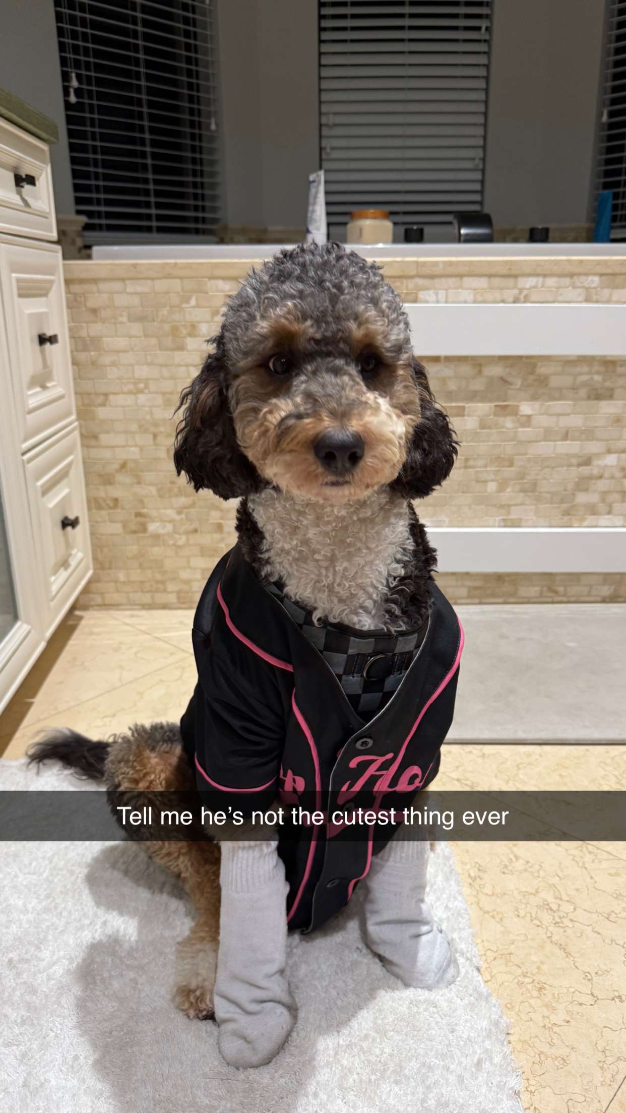 camilla_classy snapchat image archive image