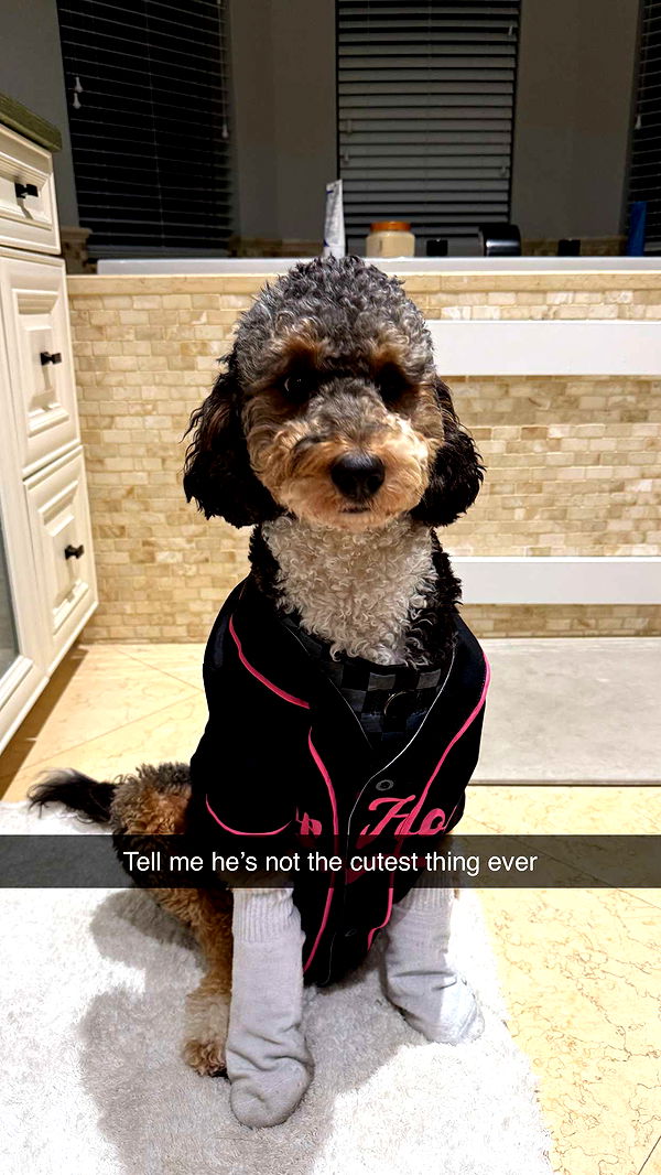 camilla_classy image ~ Altpins