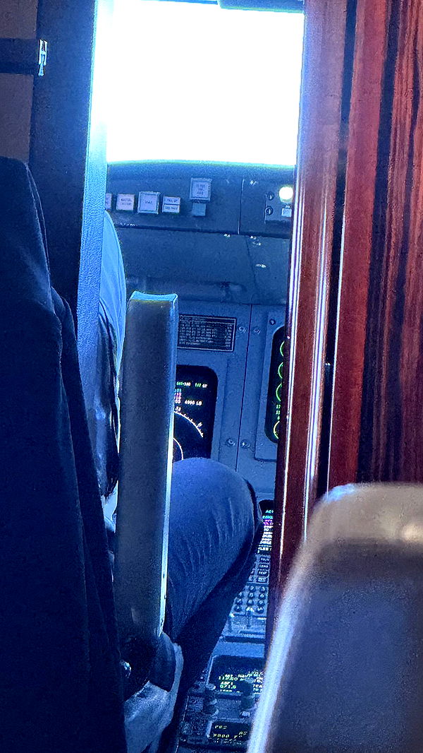 camilla_classy image ~ Altpins