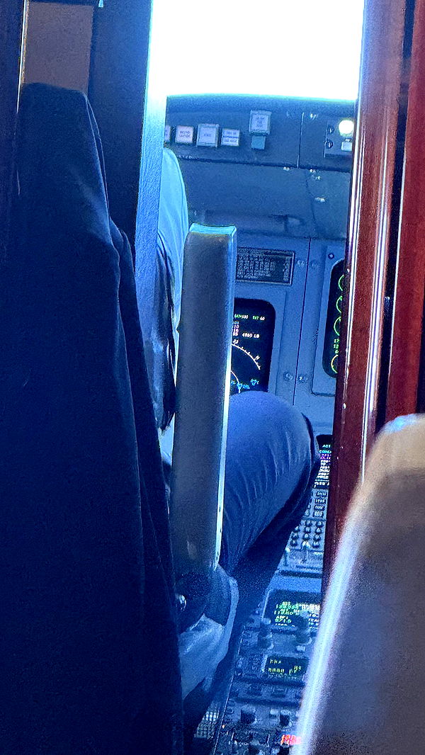 camilla_classy image ~ Altpins