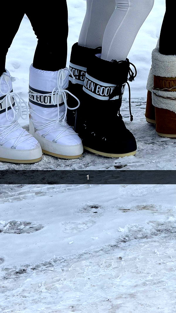 camilla_classy image ~ Altpins