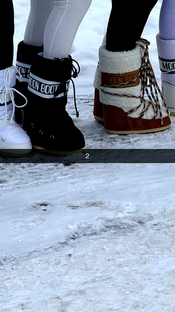 camilla_classy image ~ Altpins