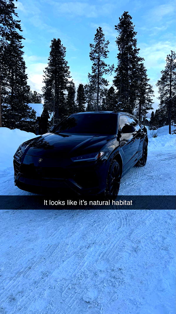 camilla_classy image ~ Altpins