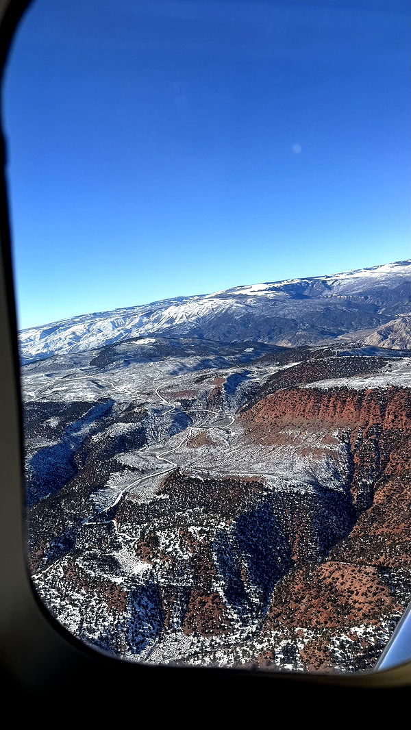 camilla_classy image ~ Altpins