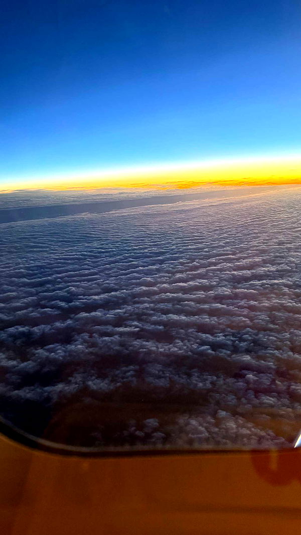 camilla_classy image ~ Altpins