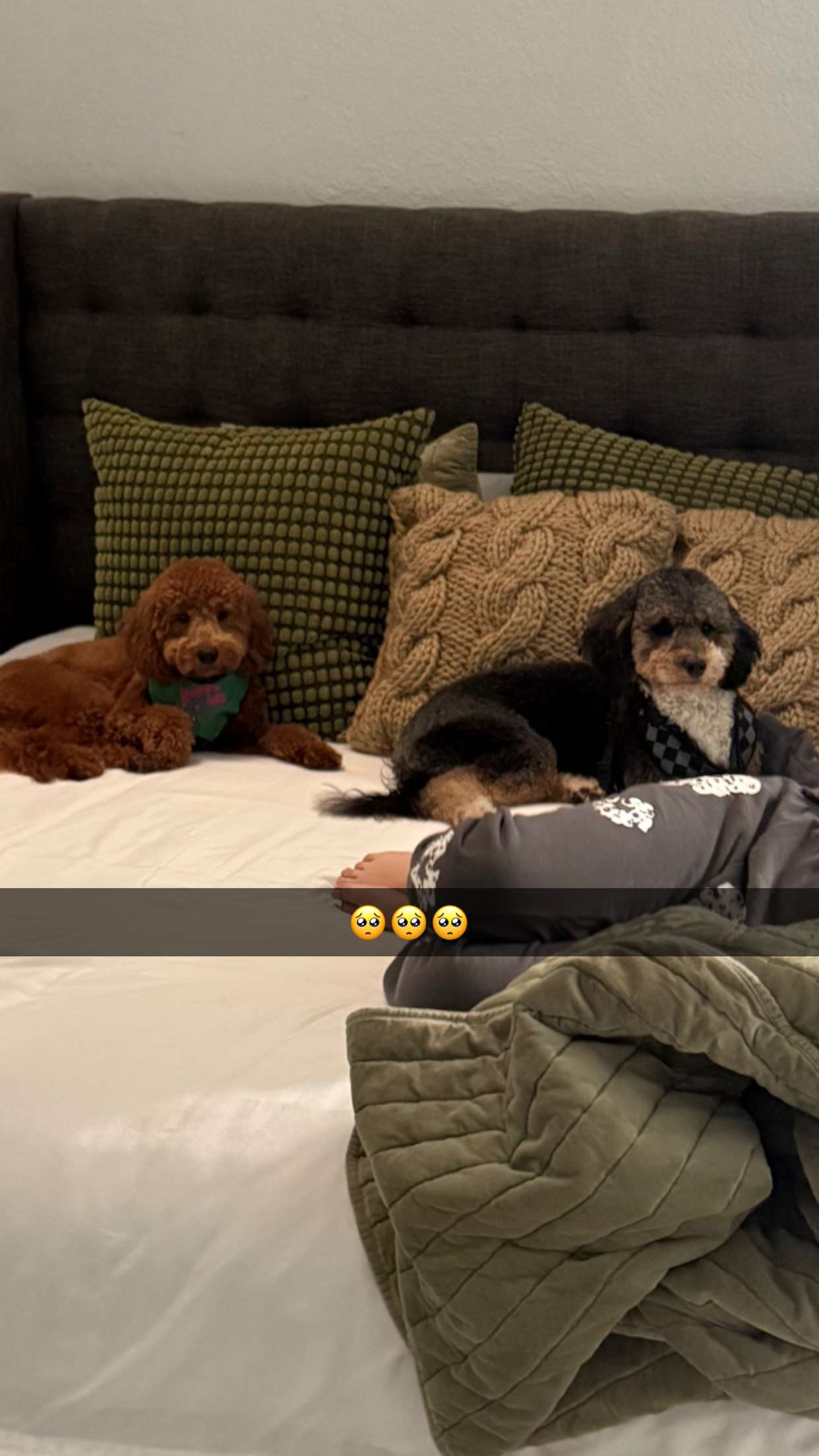 camilla_classy snapchat image archive image