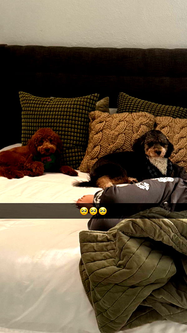 camilla_classy image ~ Altpins