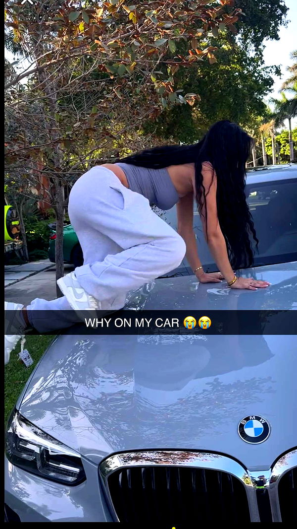 camilla_classy image ~ Altpins