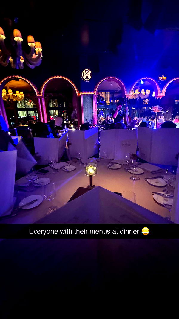 camilla_classy image ~ Altpins