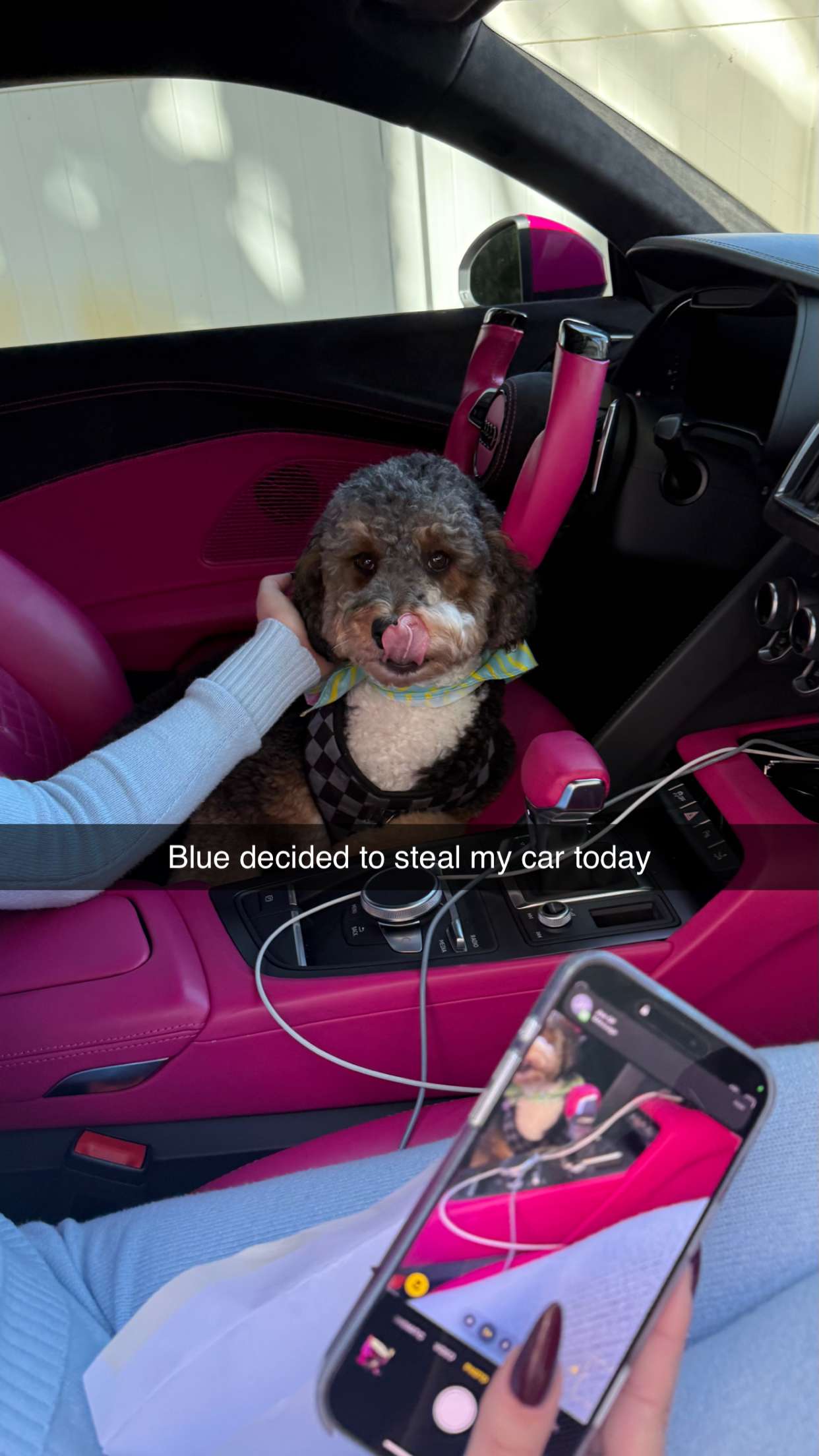 camilla_classy snapchat image archive image