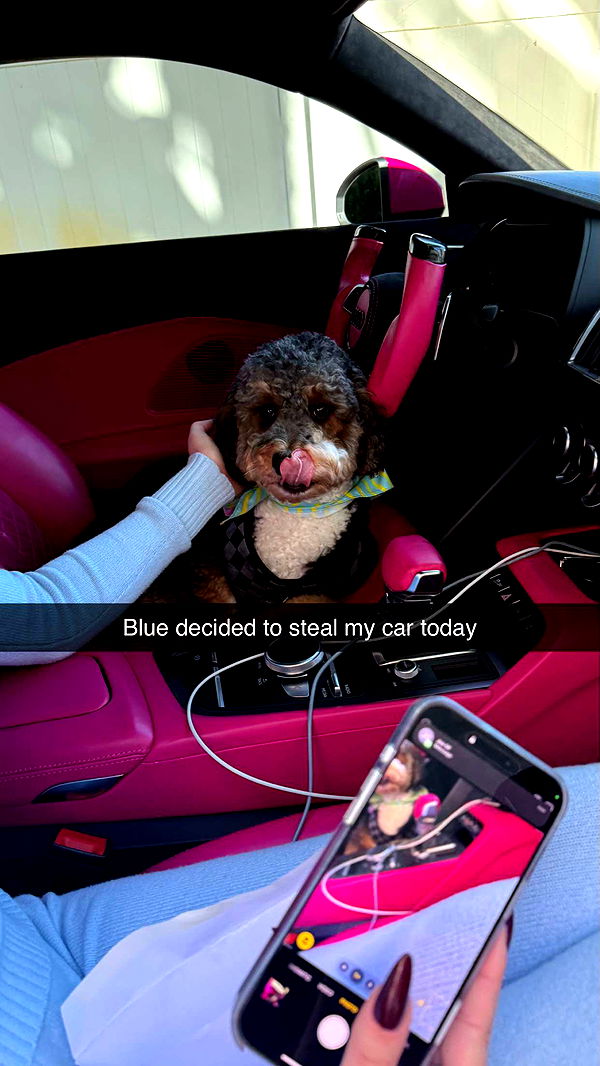 camilla_classy image ~ Altpins