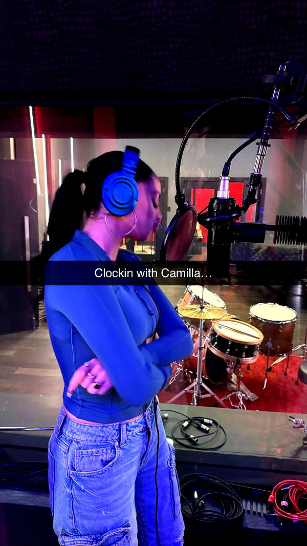 camilla_classy image ~ Altpins