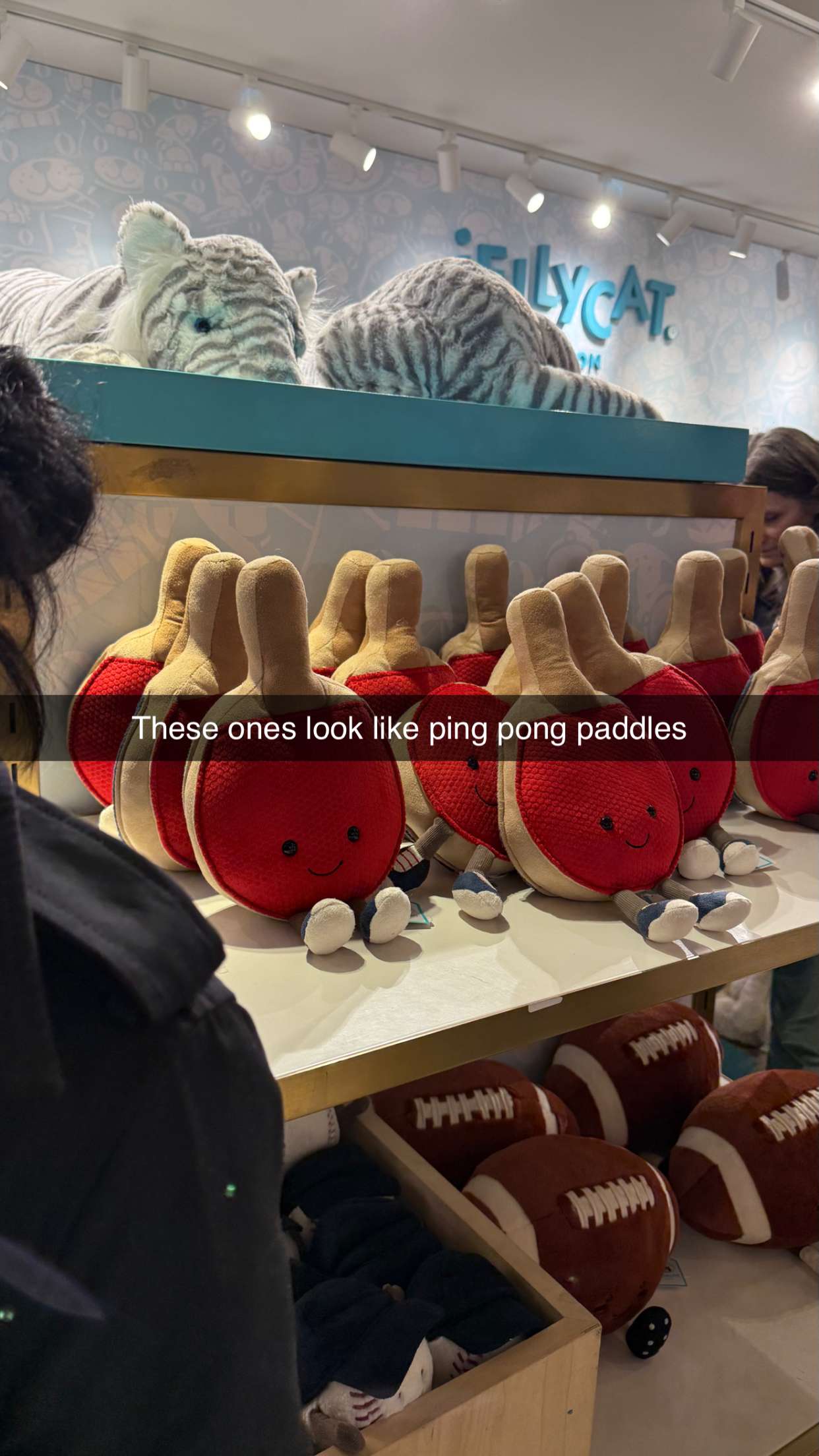 camilla_classy snapchat image archive image