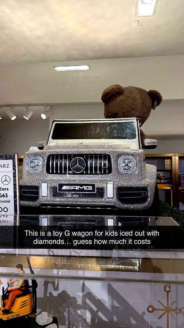 camilla_classy image ~ Altpins