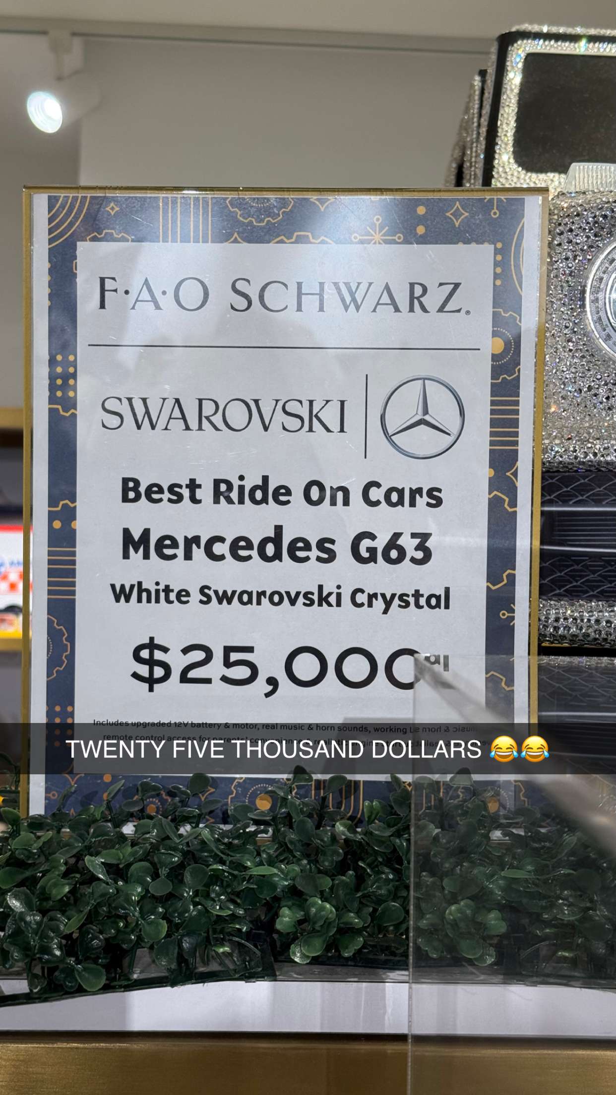 camilla_classy snapchat image archive image