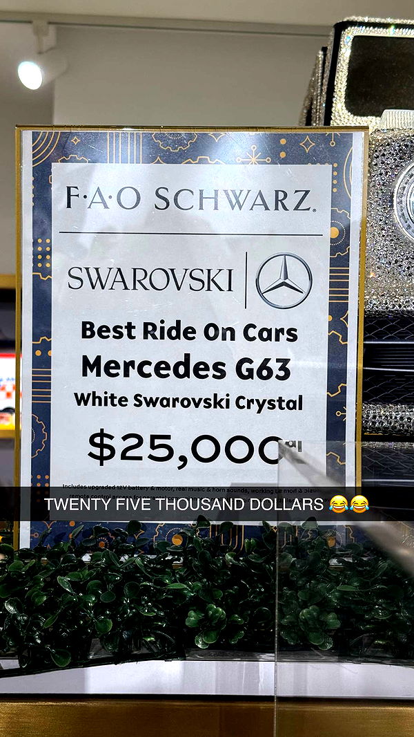 camilla_classy image ~ Altpins