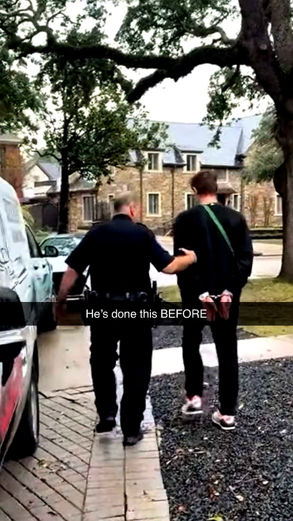 camilla_classy image ~ Altpins