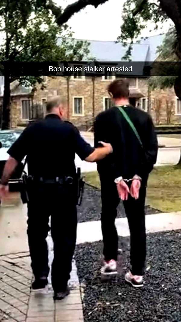 camilla_classy image ~ Altpins