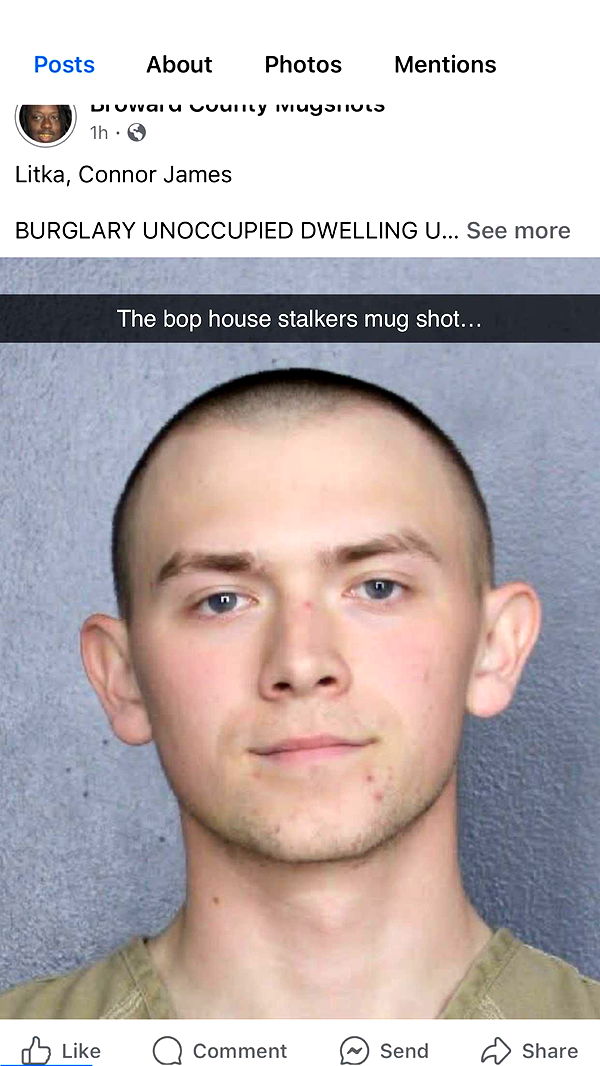 camilla_classy image ~ Altpins