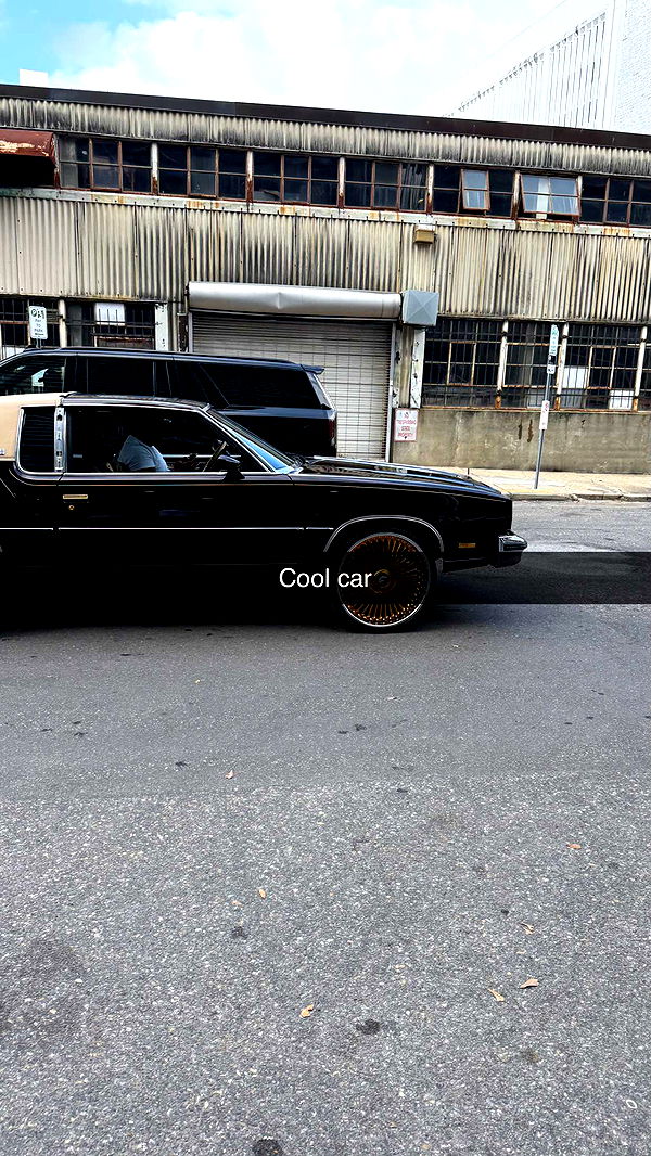 camilla_classy image ~ Altpins