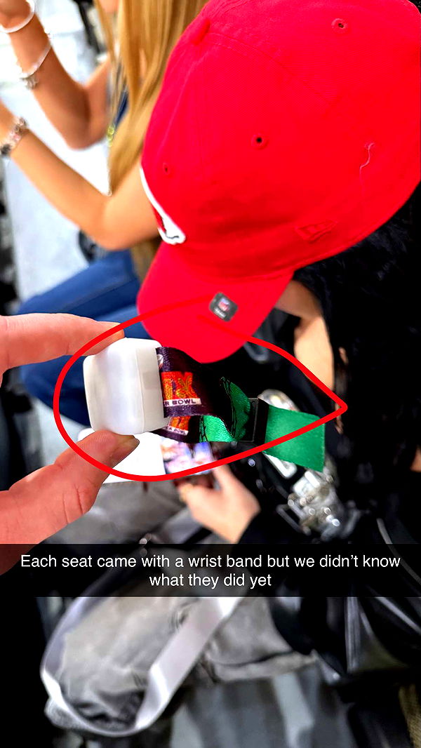 camilla_classy image ~ Altpins