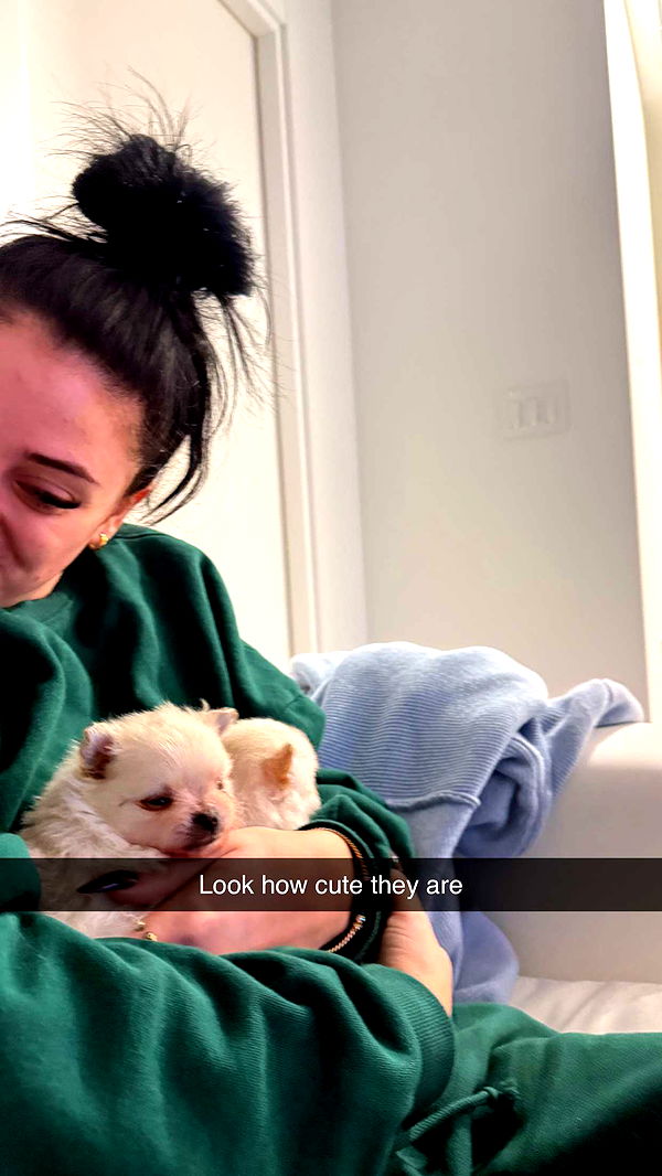 camilla_classy image ~ Altpins