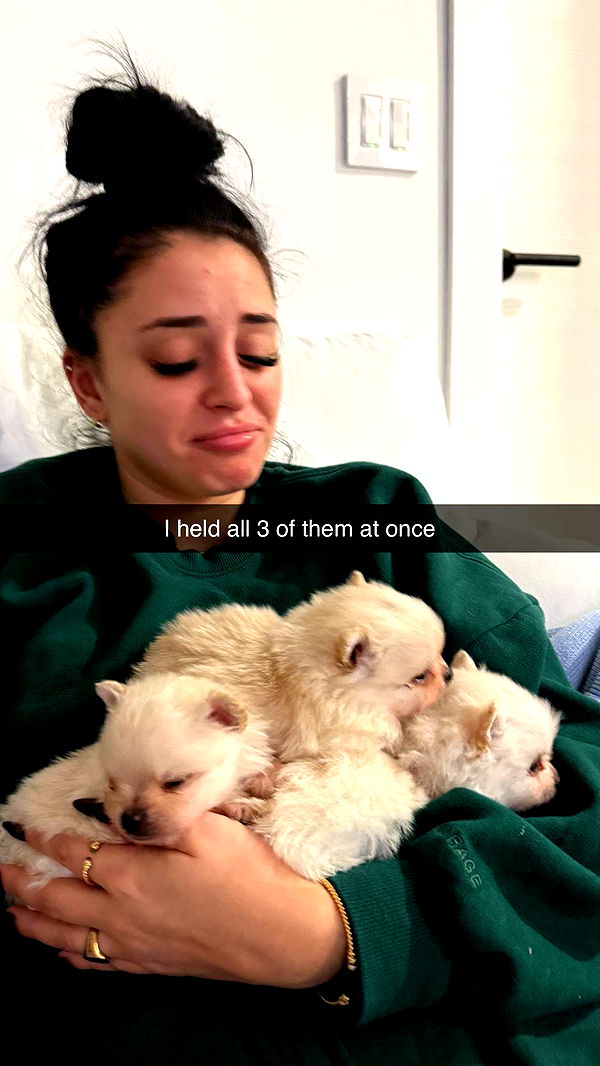 camilla_classy image ~ Altpins