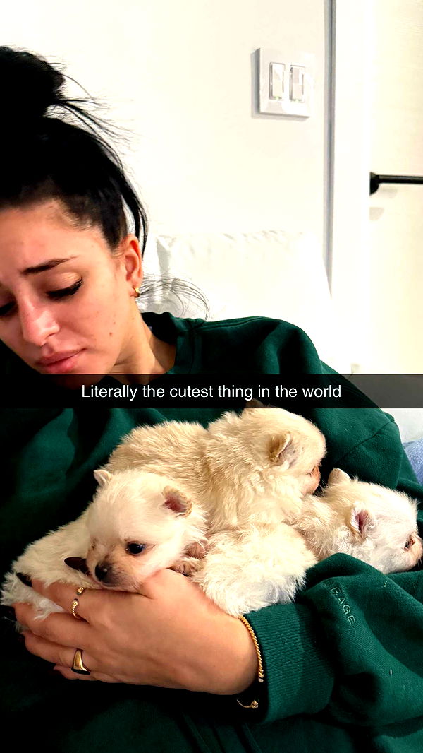 camilla_classy image ~ Altpins