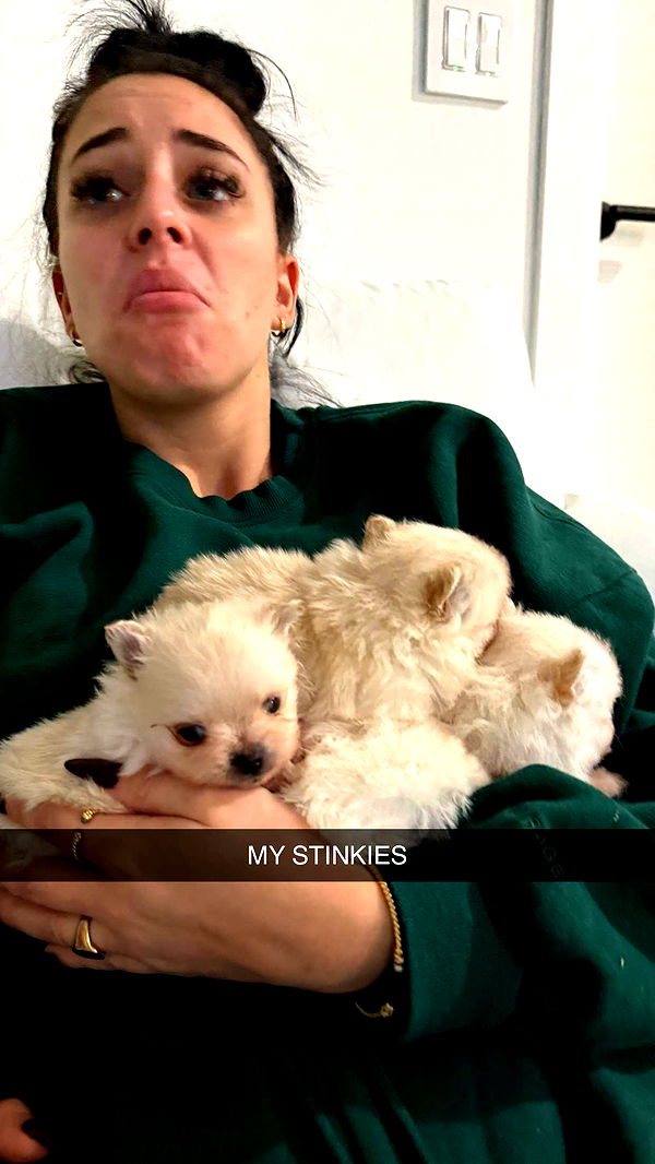 camilla_classy image ~ Altpins