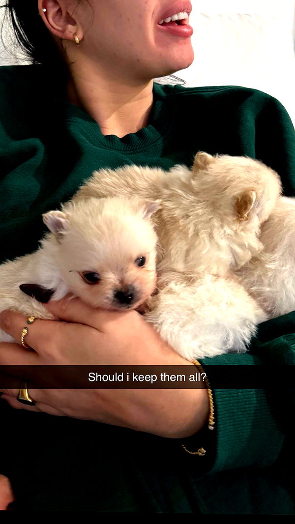 camilla_classy image ~ Altpins