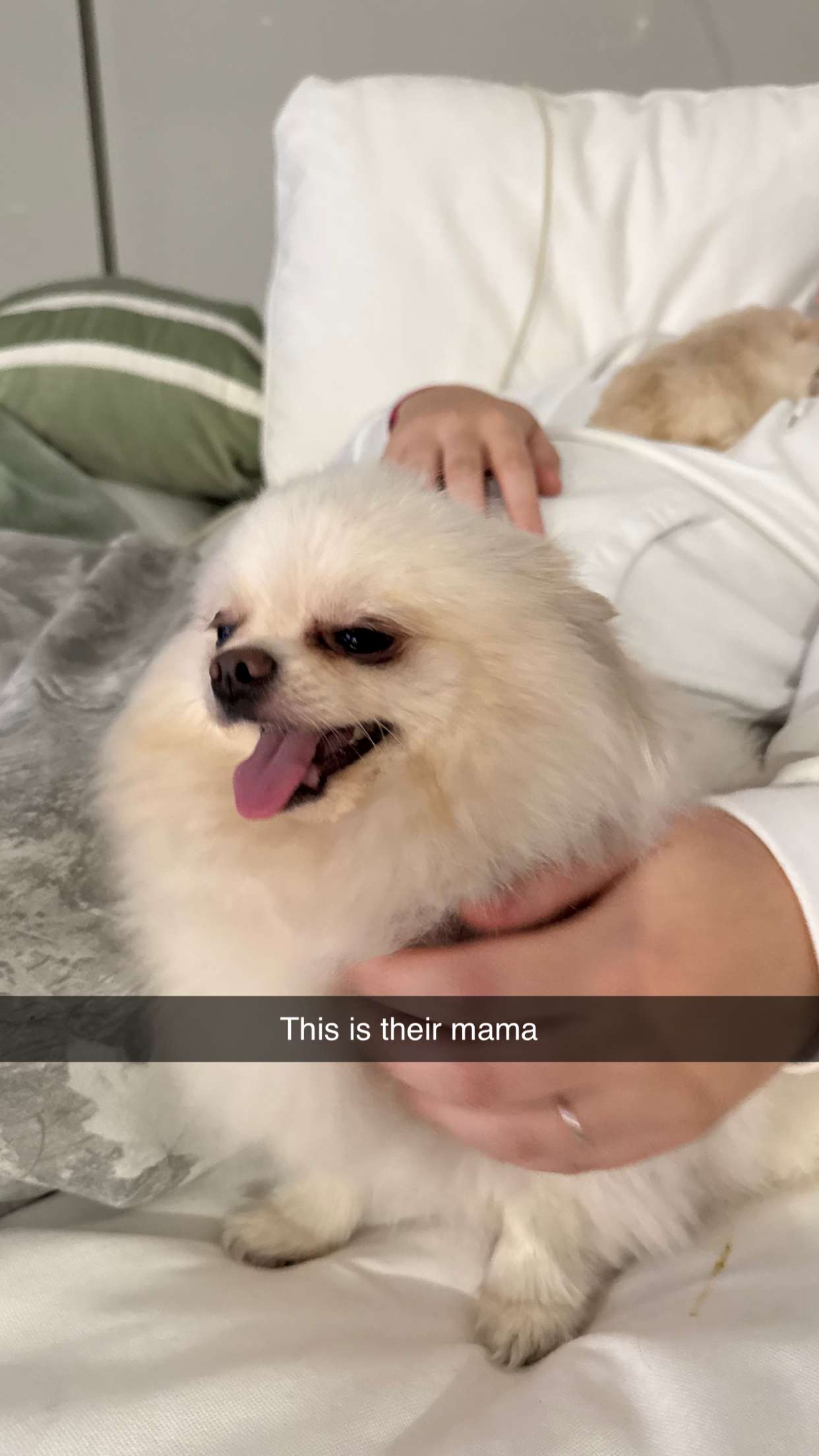 camilla_classy snapchat image archive image