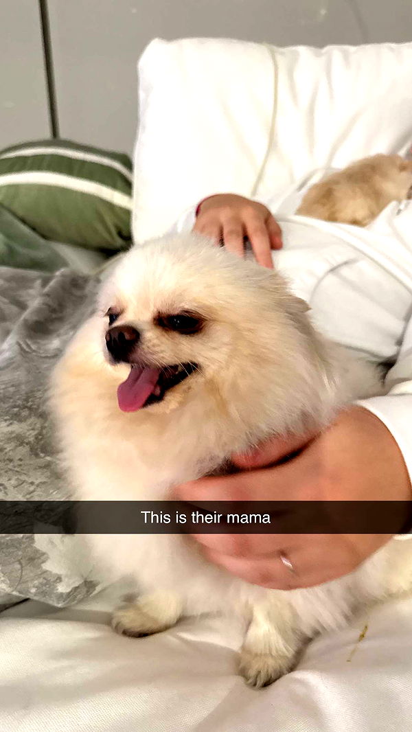 camilla_classy image ~ Altpins