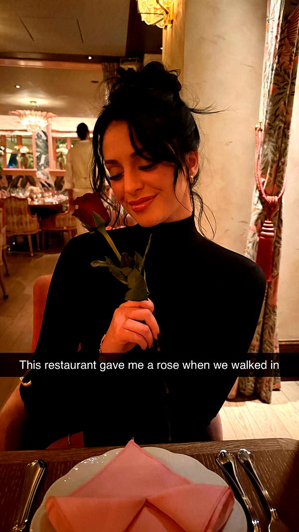 camilla_classy image ~ Altpins