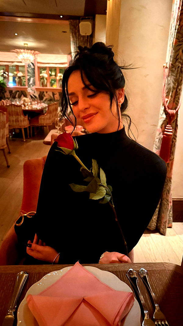 camilla_classy image ~ Altpins