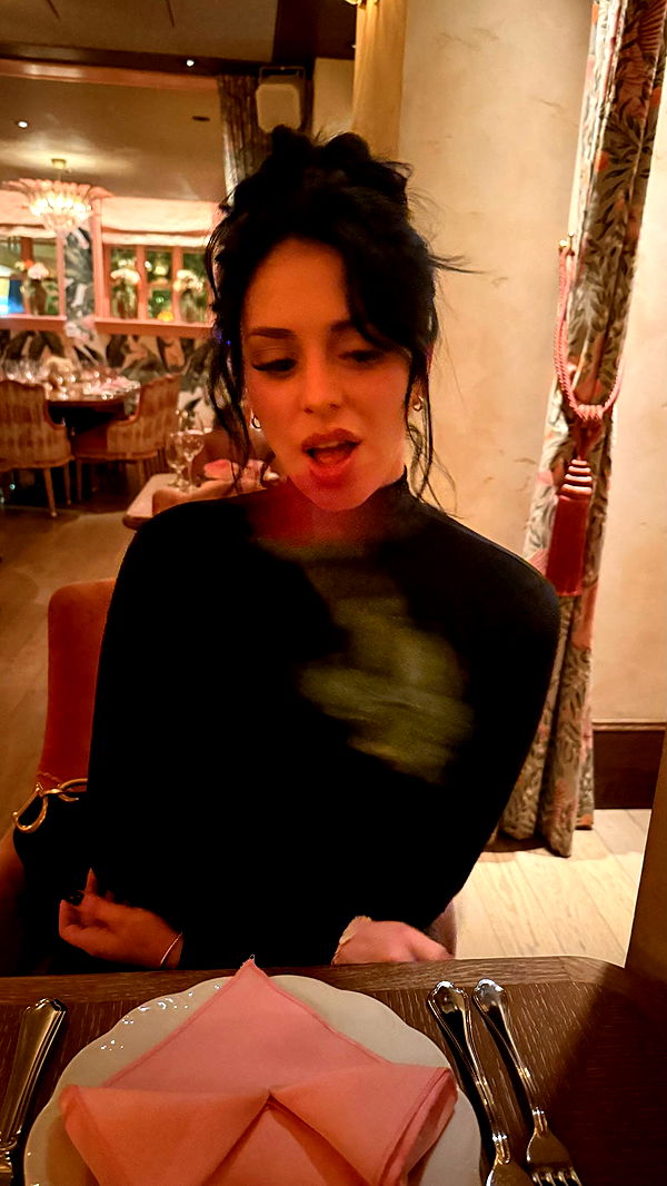 camilla_classy image ~ Altpins