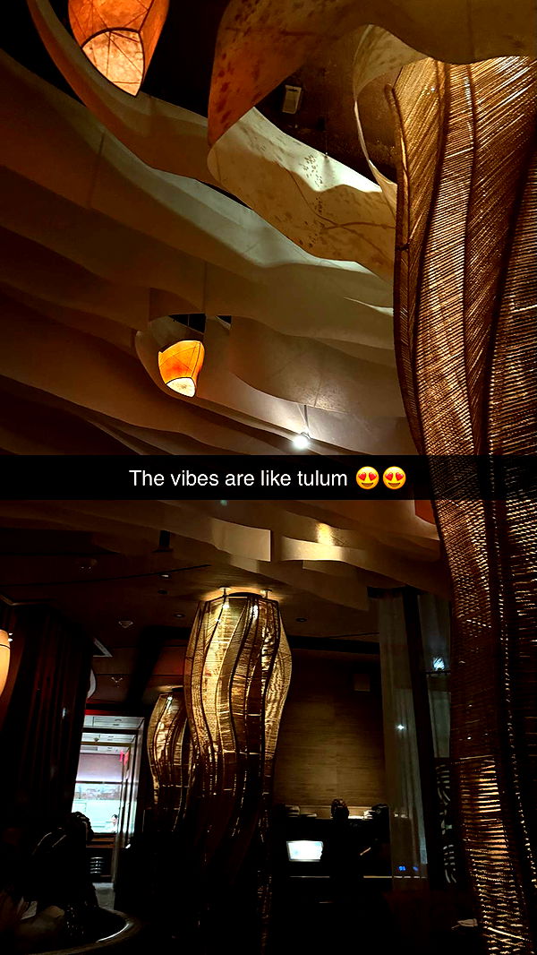 camilla_classy image ~ Altpins