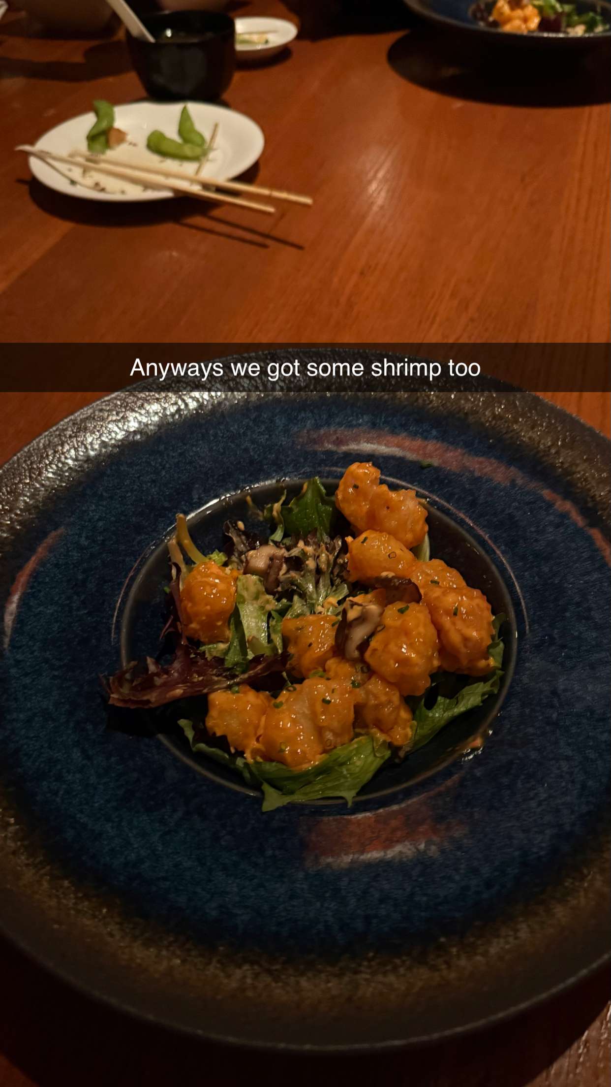 camilla_classy snapchat image archive image